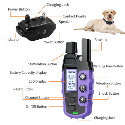 Waterproof Electric Dog Training Collar with Remote (3300ft Range) - lifestyle