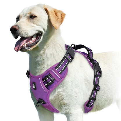 No-Pull Padded Dog Harness with Control Handle - M / PURPLE