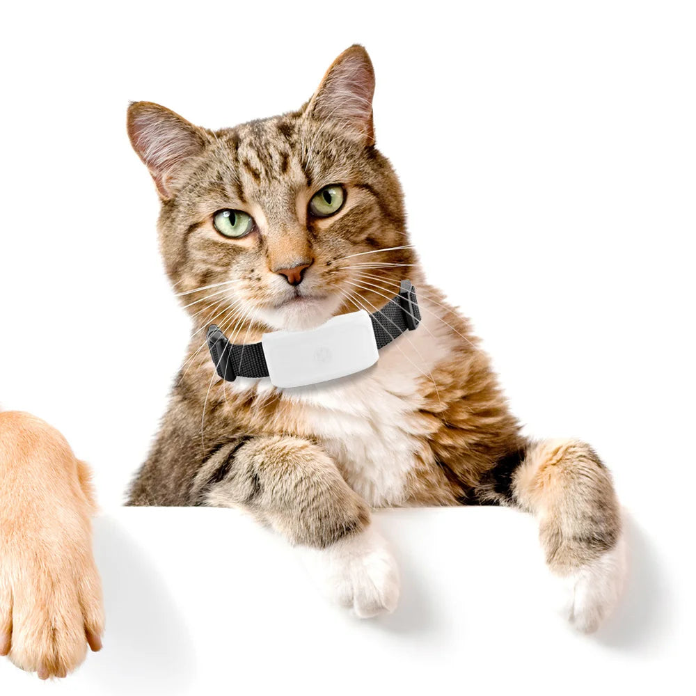Mini Waterproof GPS Tracker for Dogs and Cats (Free App) - alternate angle