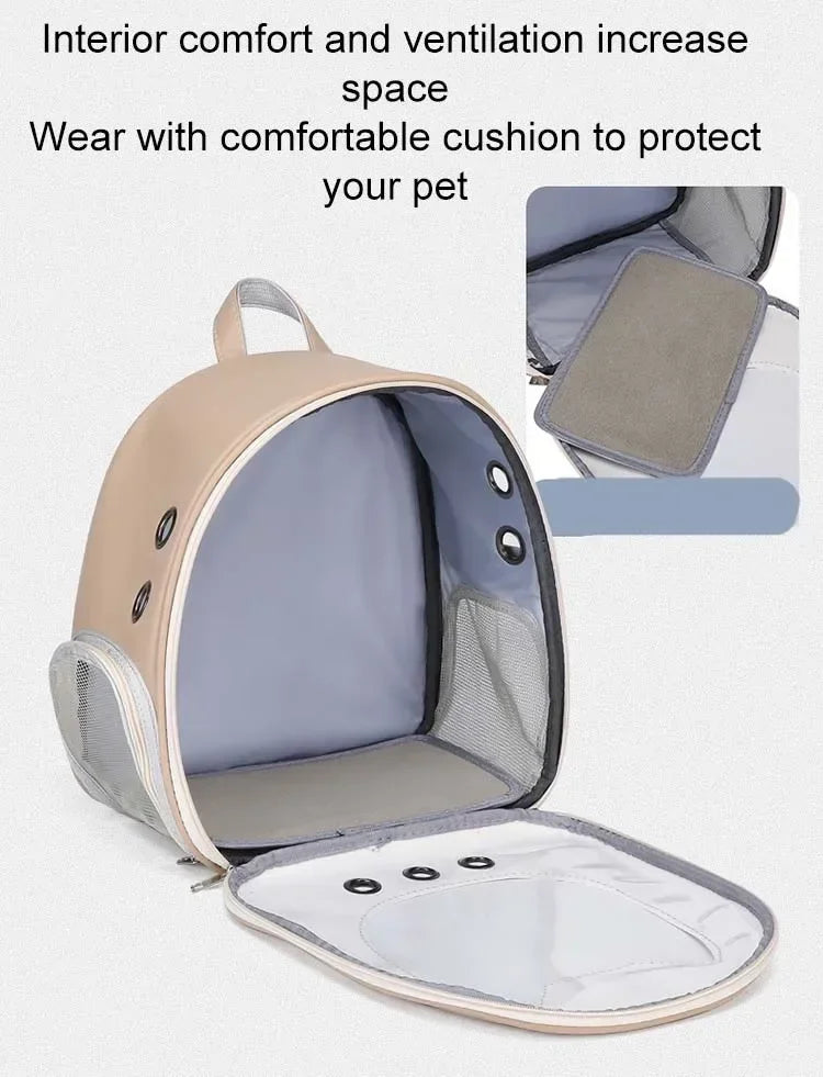 Foldable Transparent Pet Backpack for Cats and Small Dogs - size reference
