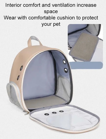 Foldable Transparent Pet Backpack for Cats and Small Dogs - size reference