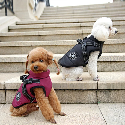 Waterproof Winter Dog Jacket with Built-in Harness - in use
