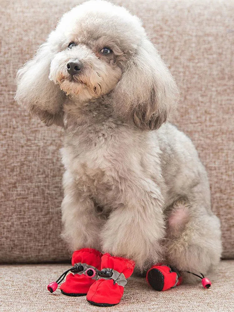 Waterproof Anti-Slip Winter Dog Boots with Socks (4 Pack) - view 13