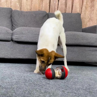 IQ Slow Feeder Ball for Dogs and Cats