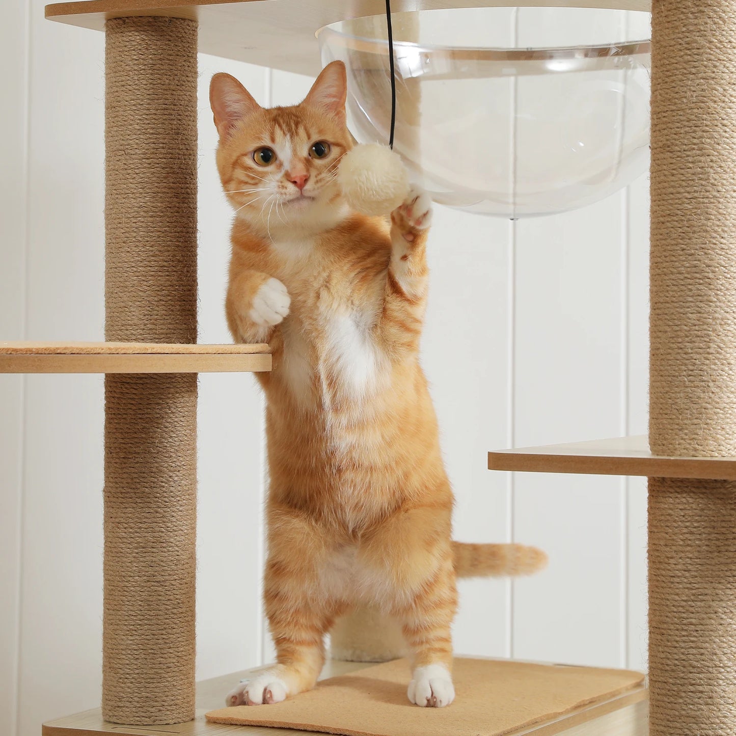Multi-Level Wood Cat Tree with Hammock and Toys - size reference