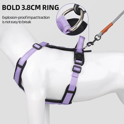 Escape-Proof Dog Harness with Control Handle - close-up