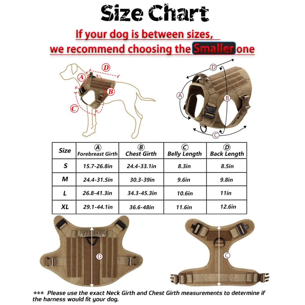 Large Dog Harness and Leash Set with Collar - side view