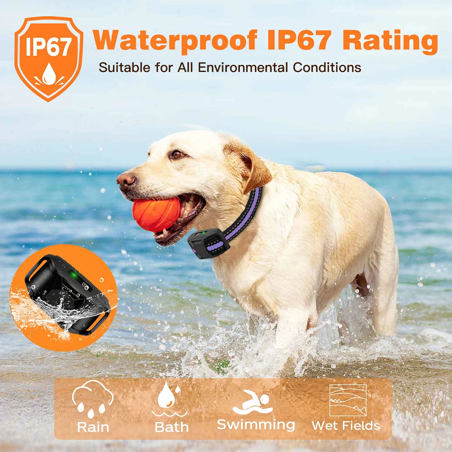 Waterproof Electric Dog Training Collar with Remote (3300ft Range) - detail