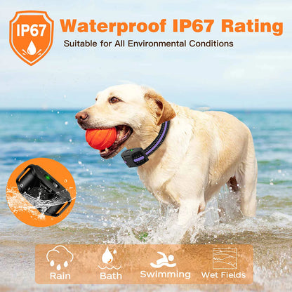 Waterproof Electric Dog Training Collar with Remote (3300ft Range) - detail