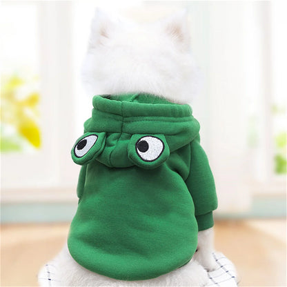 Cute Carrot and Frog Hooded Dog Sweater - from above