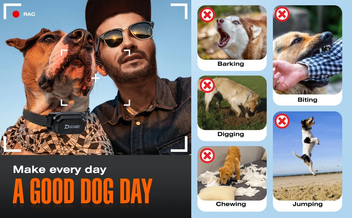 Digital Dog Training Collar with LCD Display (800m Range) - feature view