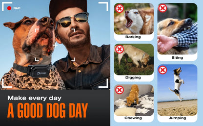 Digital Dog Training Collar with LCD Display (800m Range) - feature view