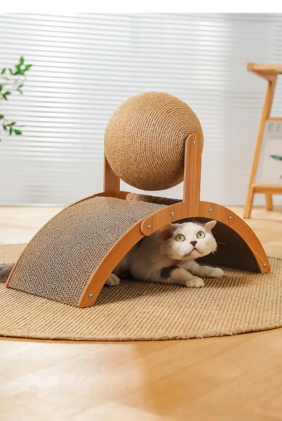 2-in-1 Wooden Cat Scratching Ball and Sisal Board - view 17