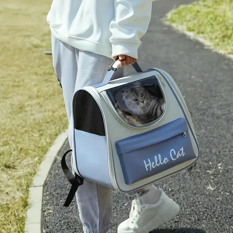 Collapsible Mesh Pet Backpack for Cats and Small Dogs - lifestyle