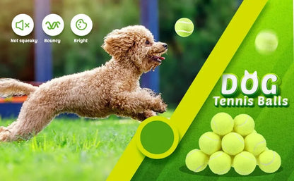 2-Inch Tennis Balls for Dogs (12 Pack, Launcher Compatible) - from above