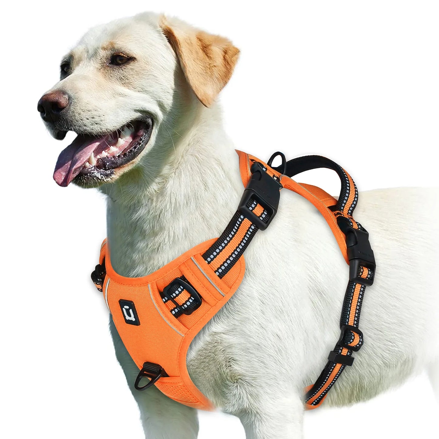 No-Pull Padded Dog Harness with Control Handle - M / Orange