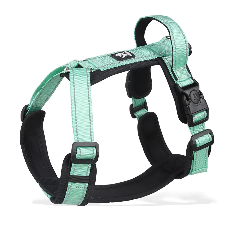 Escape-Proof Dog Harness with Control Handle - Green / M