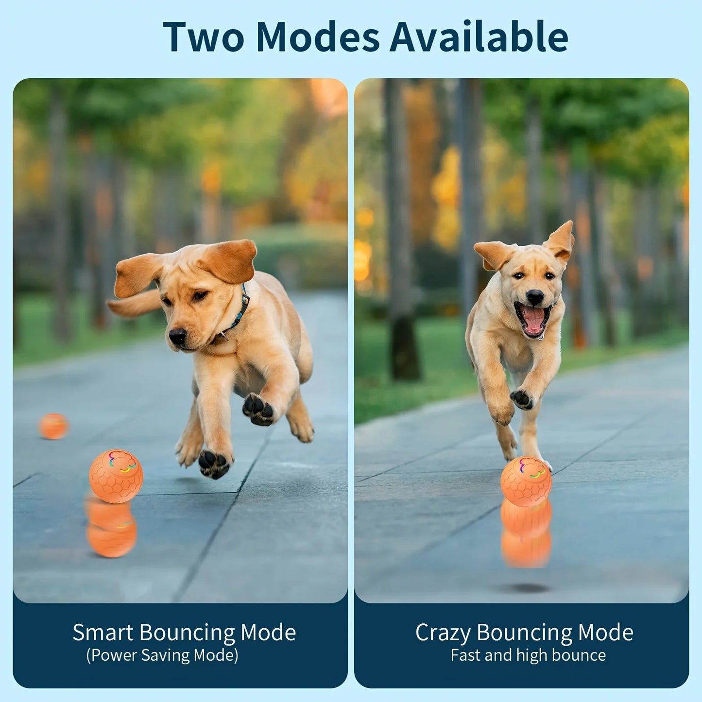 Smart Bouncing Dog Toy Ball with RGB Lights - feature view