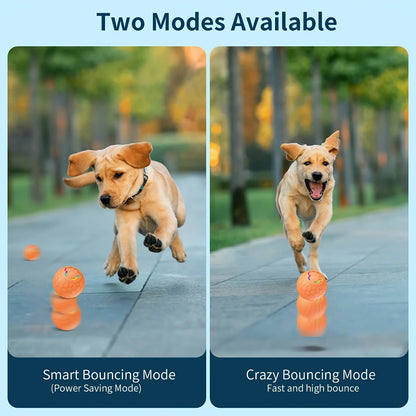 Smart Bouncing Dog Toy Ball with RGB Lights - feature view
