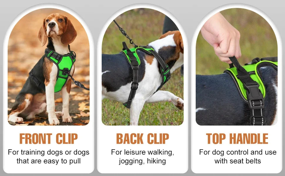 Rechargeable LED No-Pull Dog Harness - alternate angle