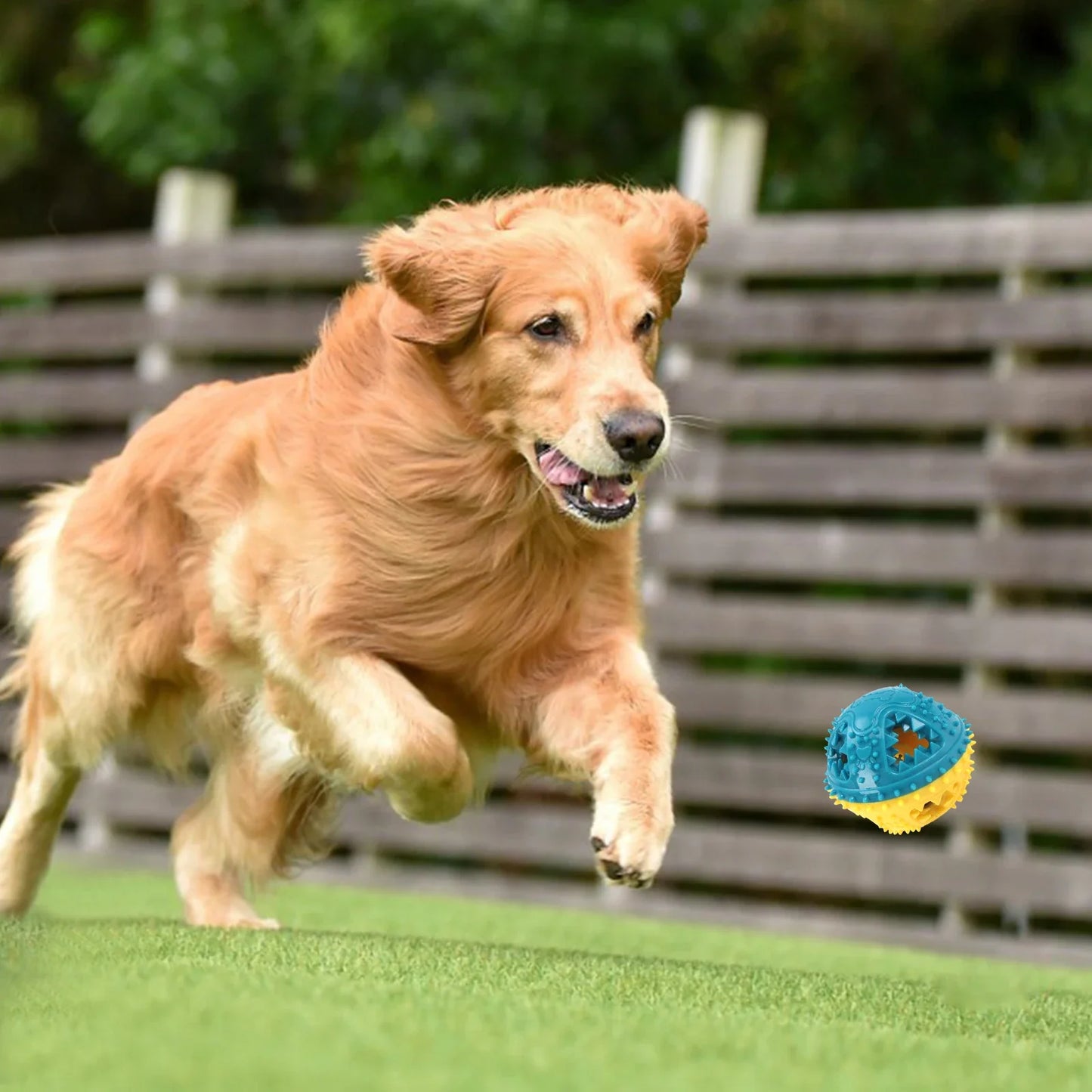 Treat-Dispensing Sound Ball for Dog Chewing - side view
