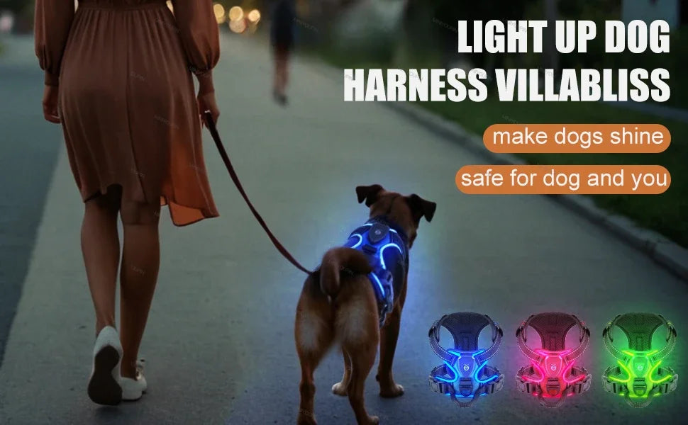 Rechargeable LED No-Pull Dog Harness - from above