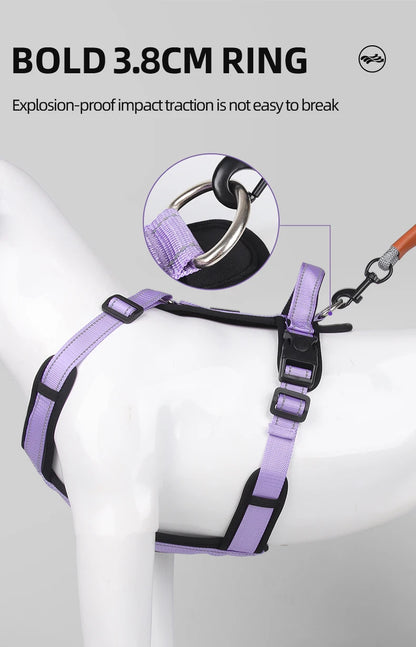 Escape-Proof Dog Harness with Control Handle - view 13