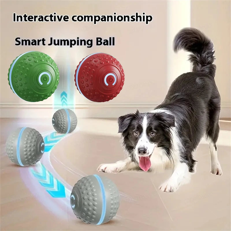 USB Rechargeable Smart Rolling Dog Ball - view 15