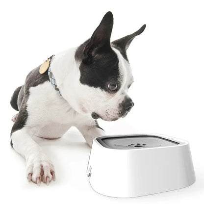 Anti-Spill Floating Pet Drinking Bowl - from above