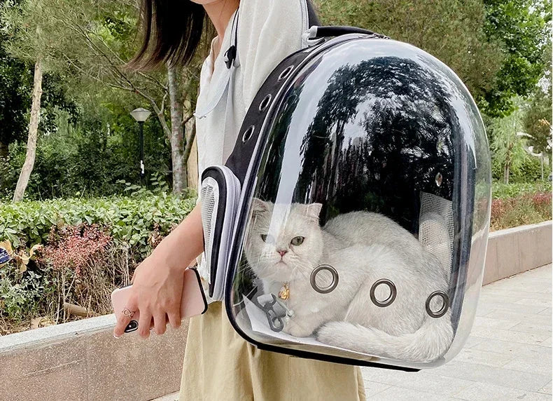 Transparent Bubble Capsule Pet Carrier Backpack - view 23