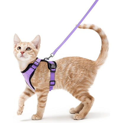 Escape Proof Cat Harness and Leash Set - VIOLET / XS