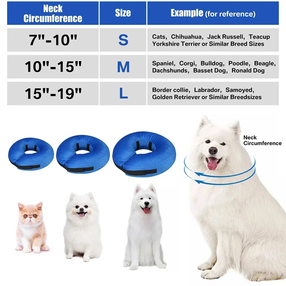 Inflatable Recovery Cone Collar for Dogs and Cats - from above