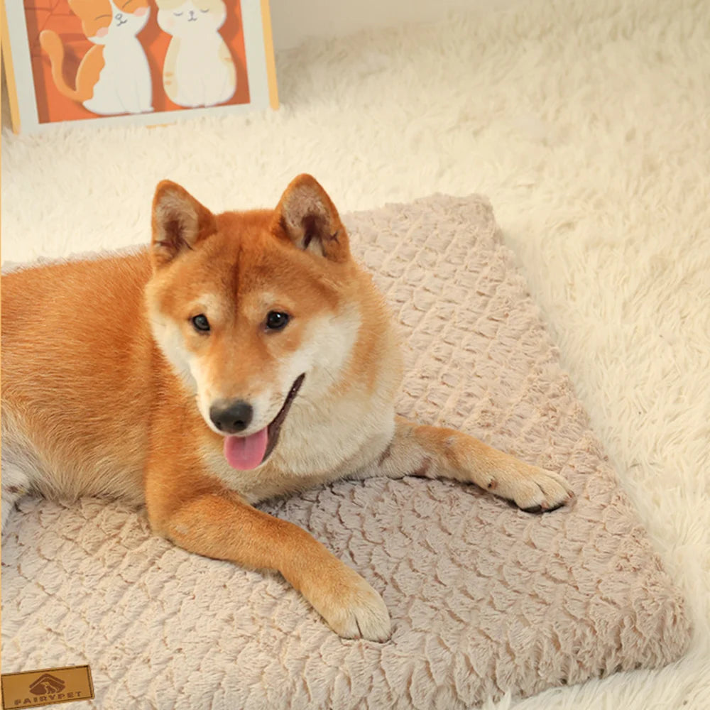 Orthopedic 3D Foam Dog Bed with Washable Faux Fur Cover - close-up