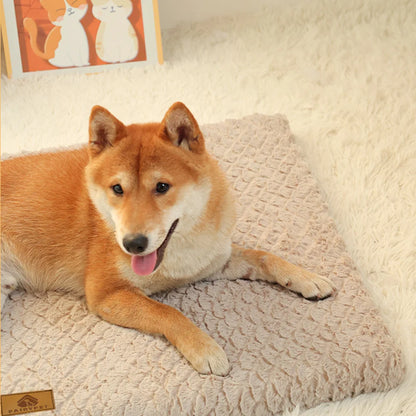 Orthopedic 3D Foam Dog Bed with Washable Faux Fur Cover - close-up