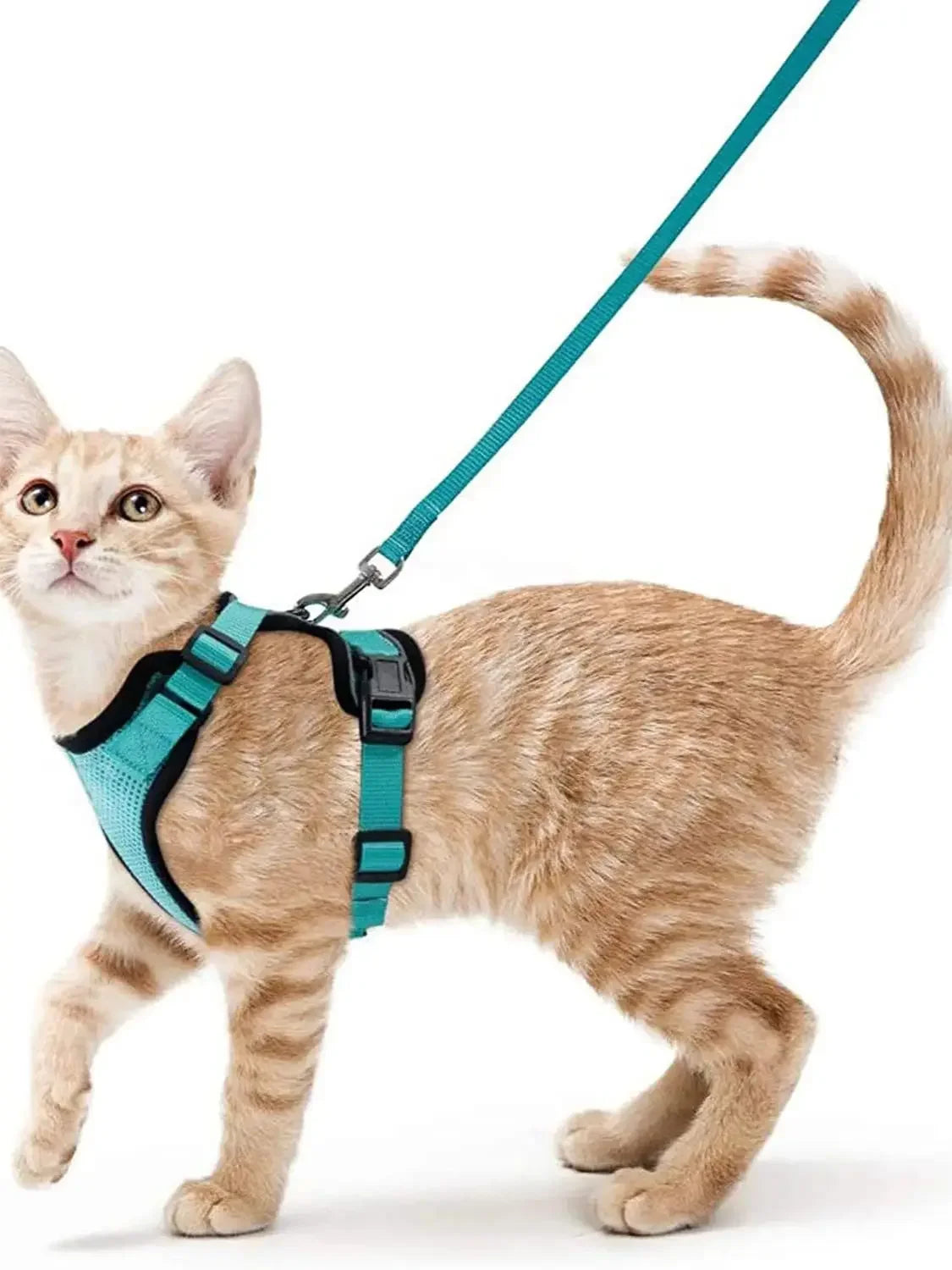 Escape Proof Cat Harness and Leash Set - MINT GREEN / XS