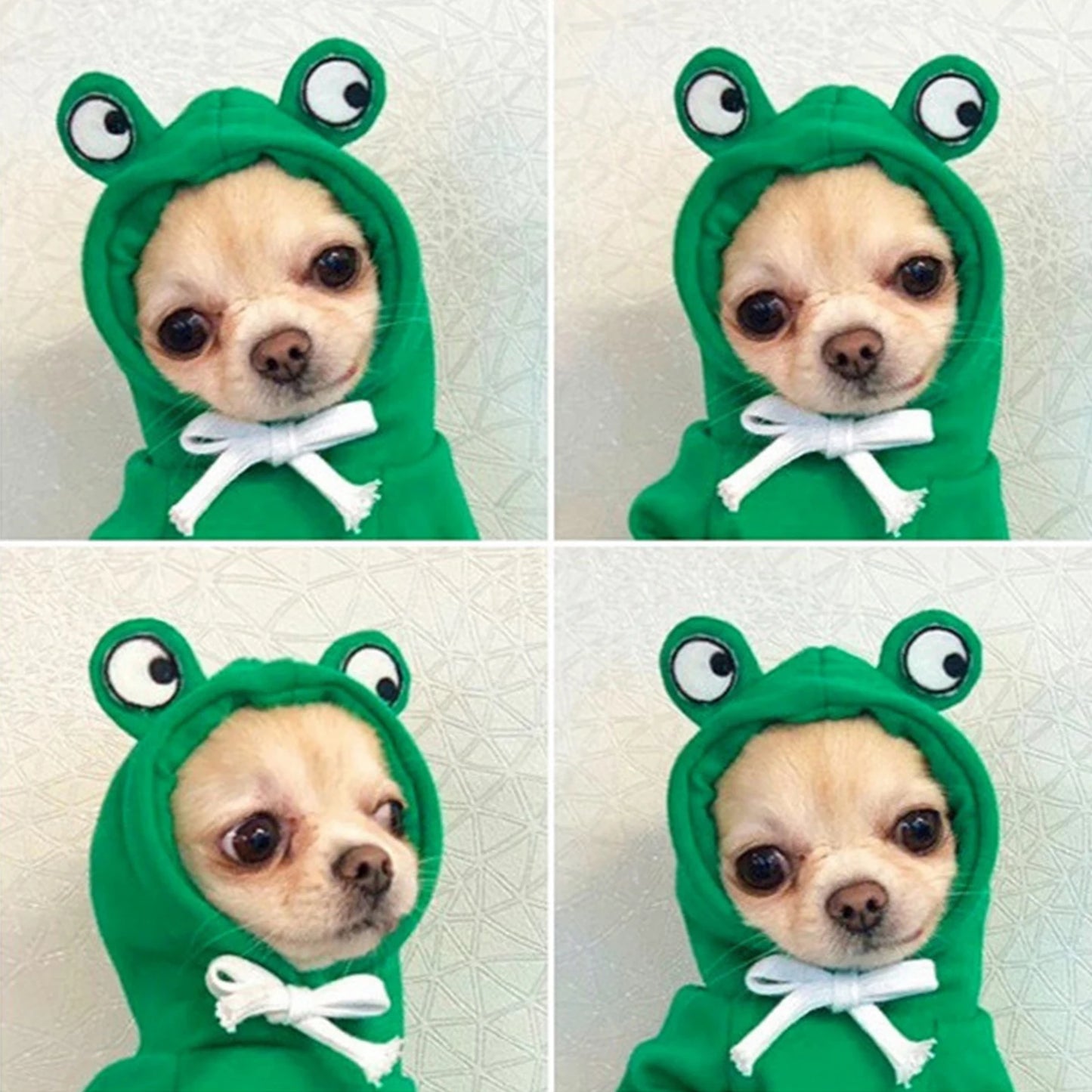 Cute Carrot and Frog Hooded Dog Sweater - alternate angle