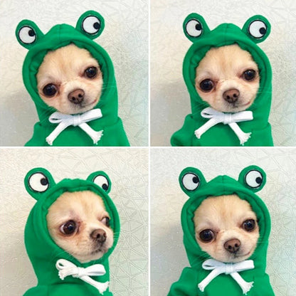 Cute Carrot and Frog Hooded Dog Sweater - detail