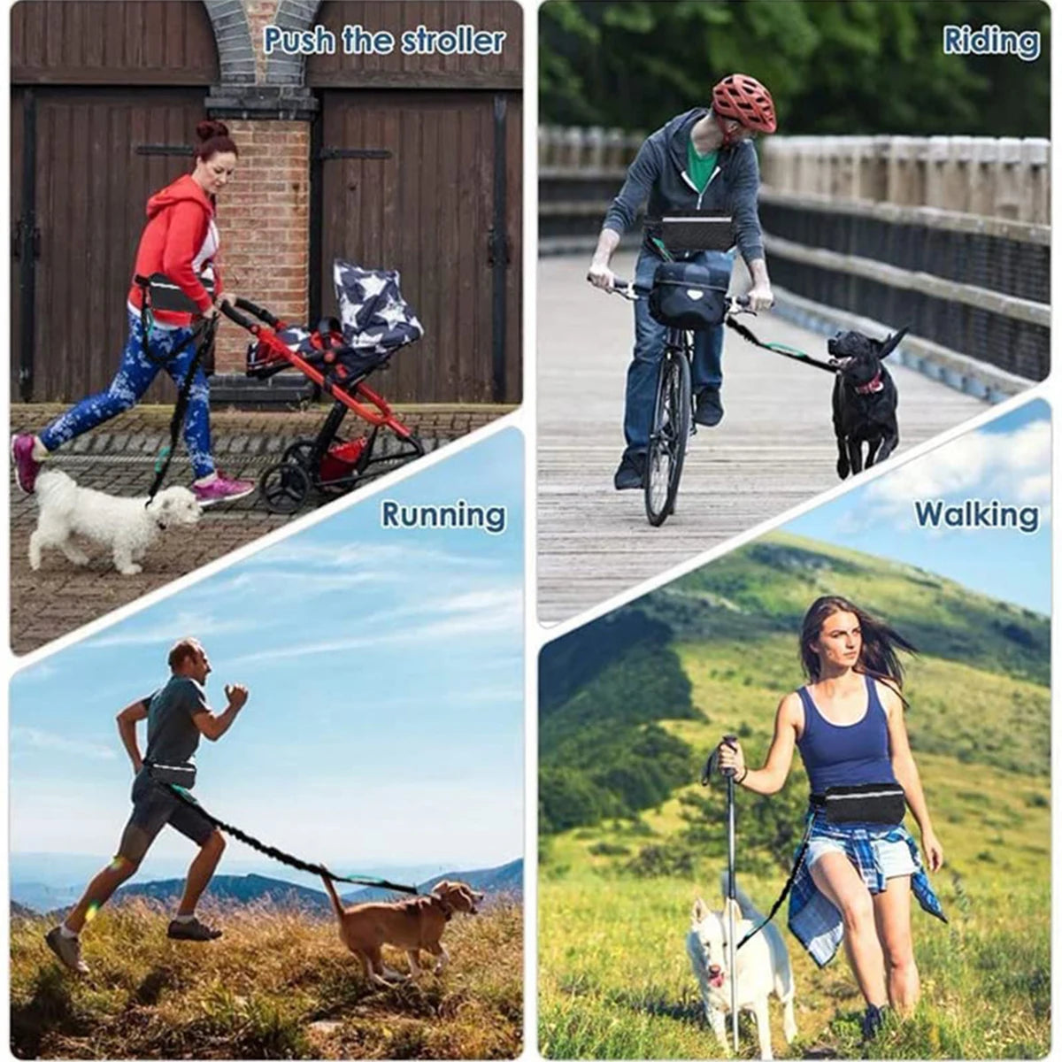 Hands Free Dog Leash with Waist Bag and Reflective Belt - in use