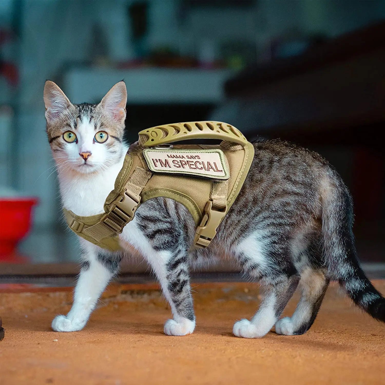 Tactical Escape-Proof Cat Harness with Control Handle