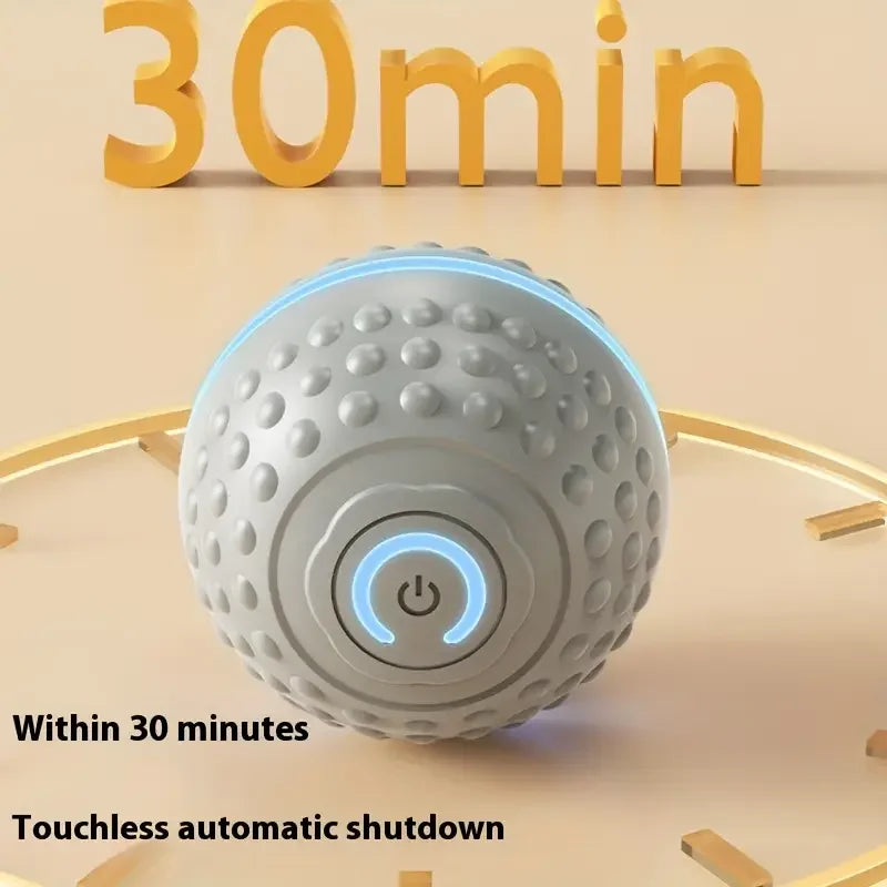 USB Rechargeable Smart Rolling Dog Ball - view 20