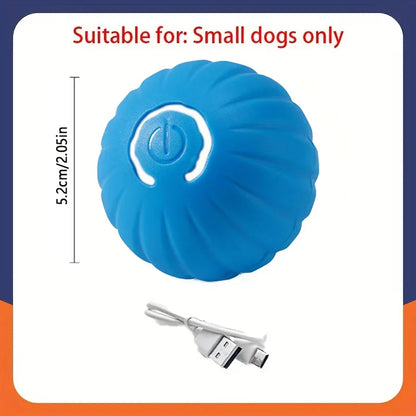 USB Rechargeable Smart Rolling Dog Ball - Blue NG
