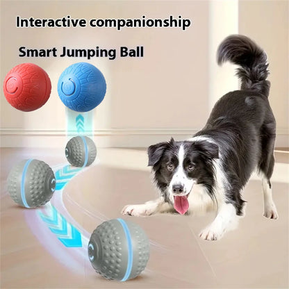 USB Rechargeable Smart Rolling Dog Ball