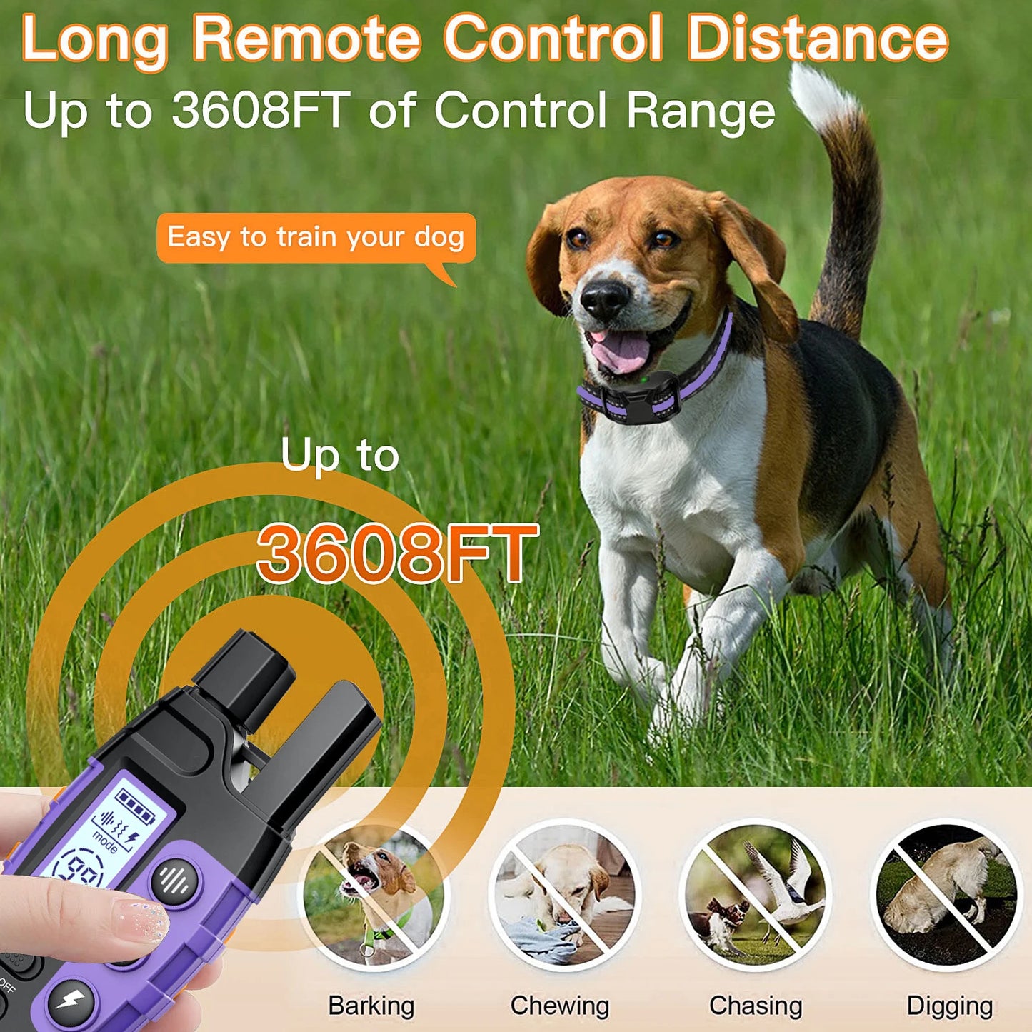 Waterproof Electric Dog Training Collar with Remote (3300ft Range) - in use