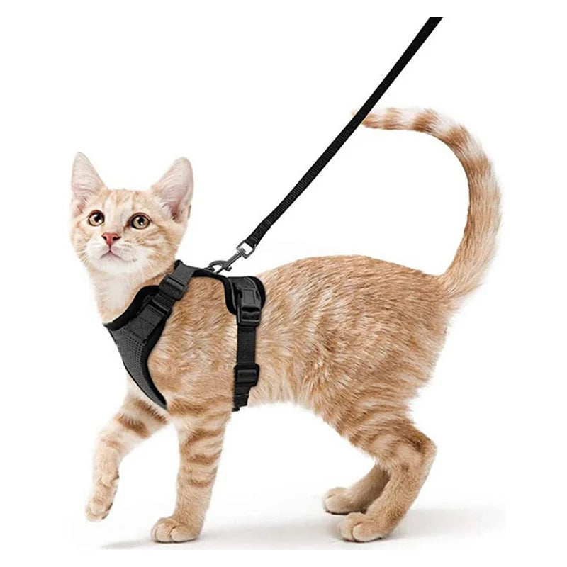 Escape Proof Cat Harness and Leash Set - black / XS