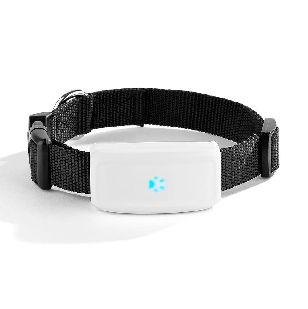 Mini Waterproof GPS Tracker for Dogs and Cats (Free App) - size reference