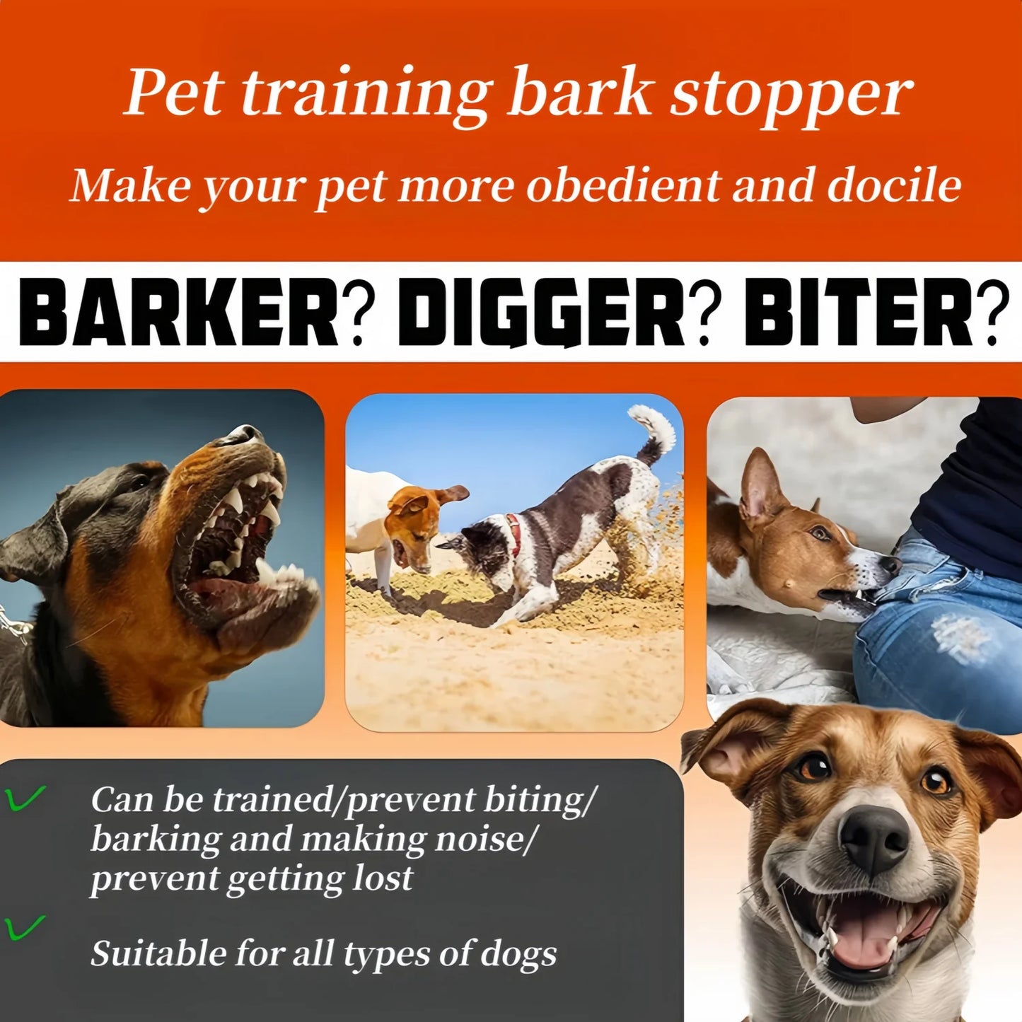 Waterproof Auto Anti-Barking Dog Collar (USB-C Rechargeable) - from above