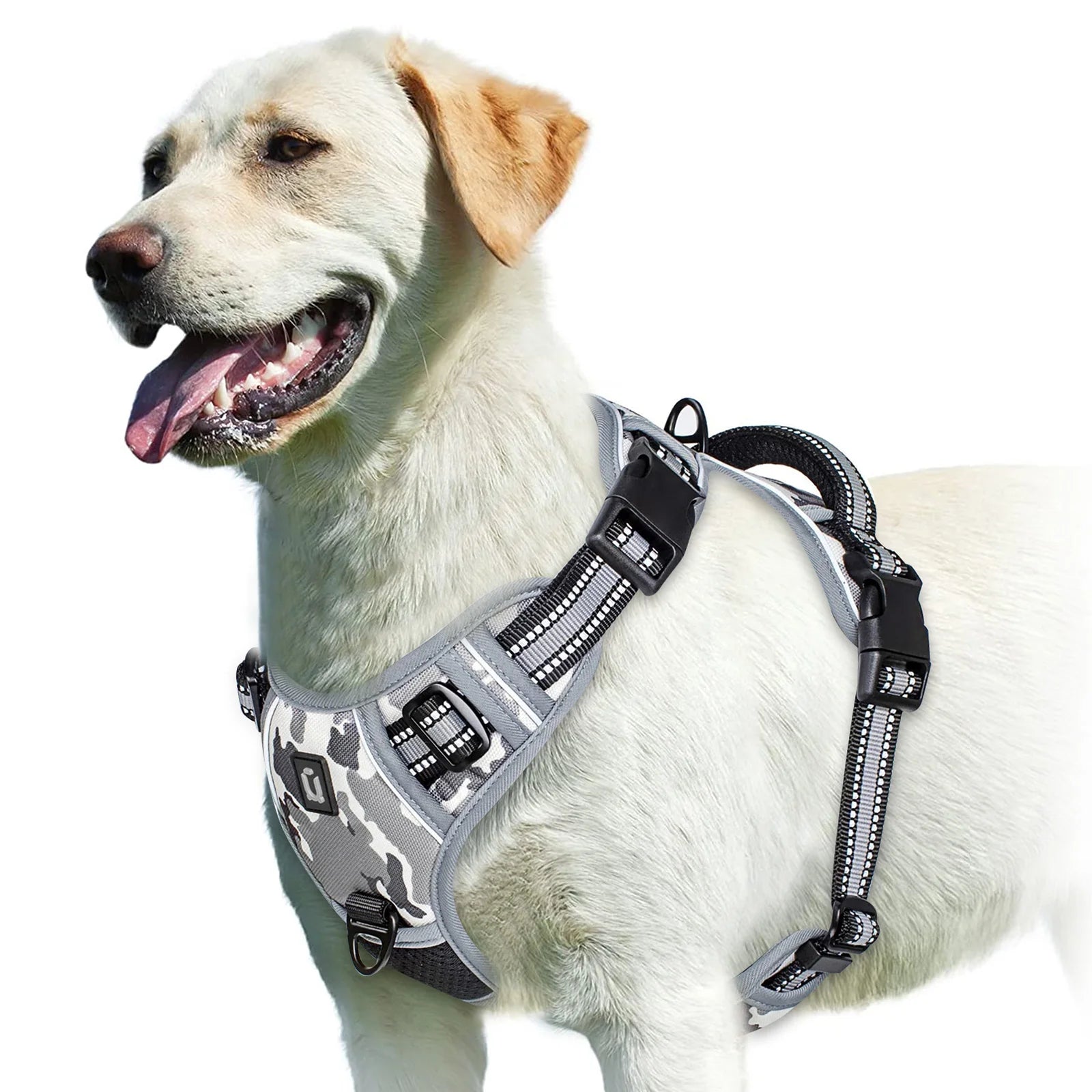 No-Pull Padded Dog Harness with Control Handle - XL / GRAY