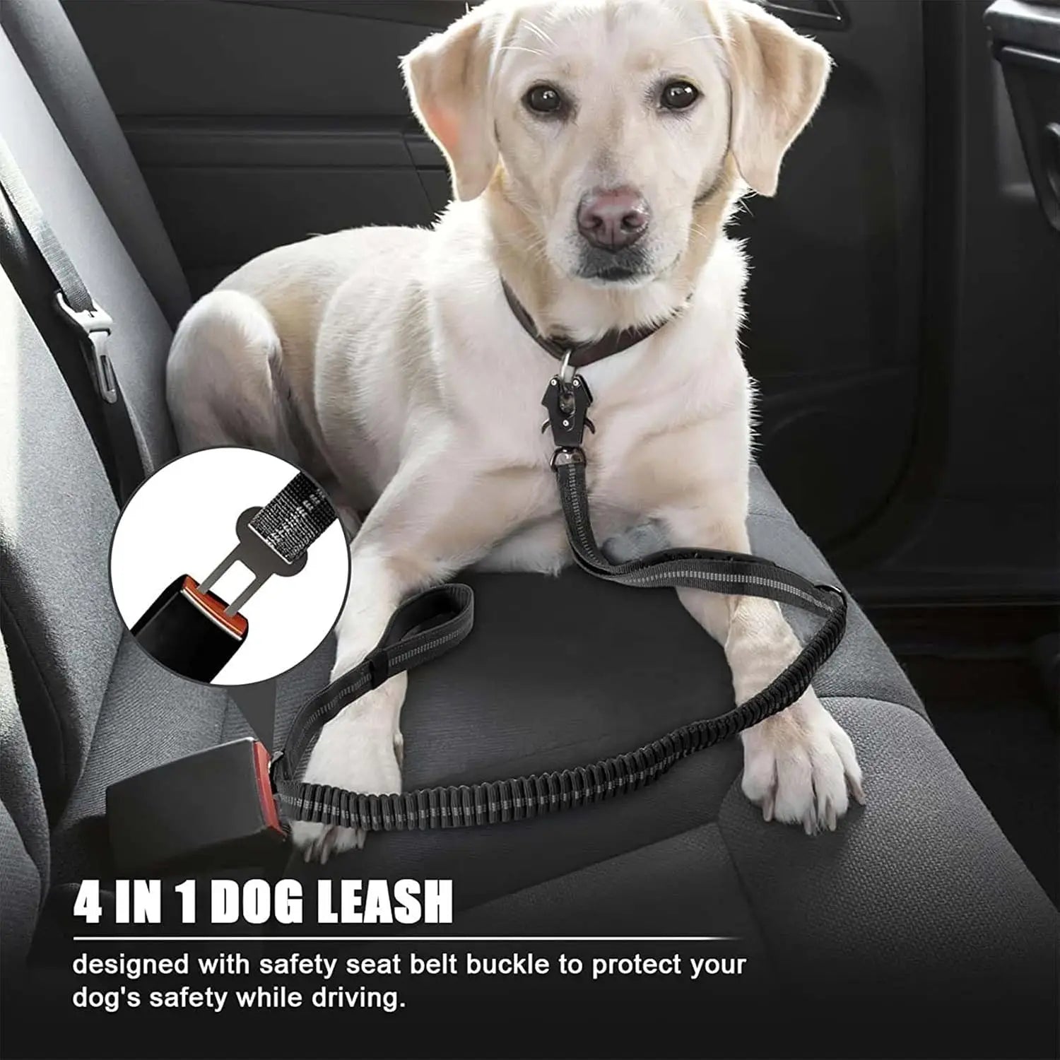 Shock-Absorbing Dog Leash with Car Seatbelt Attachment - close-up