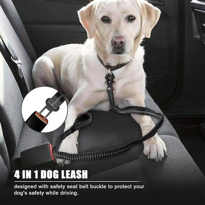 Shock-Absorbing Dog Leash with Car Seatbelt Attachment - close-up