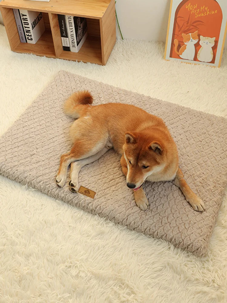 Orthopedic 3D Foam Dog Bed with Washable Faux Fur Cover - lifestyle
